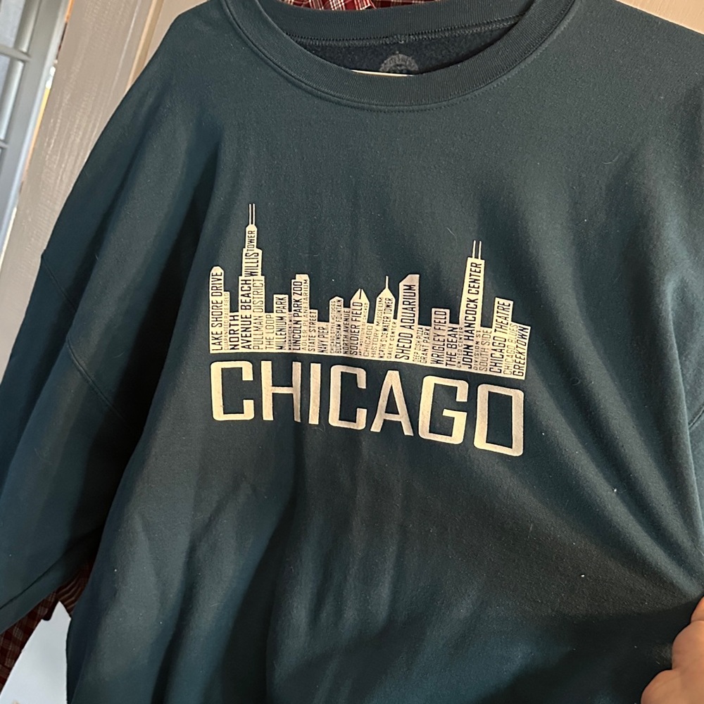 Chicago Skyline Graphic Sweatshirt - Green